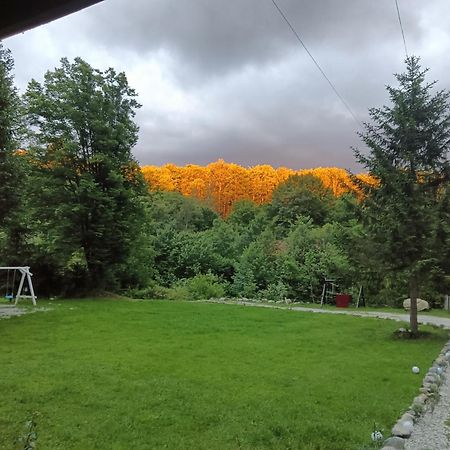 Pensiunea Vinatur Porumbacu de Sus Esterno foto
