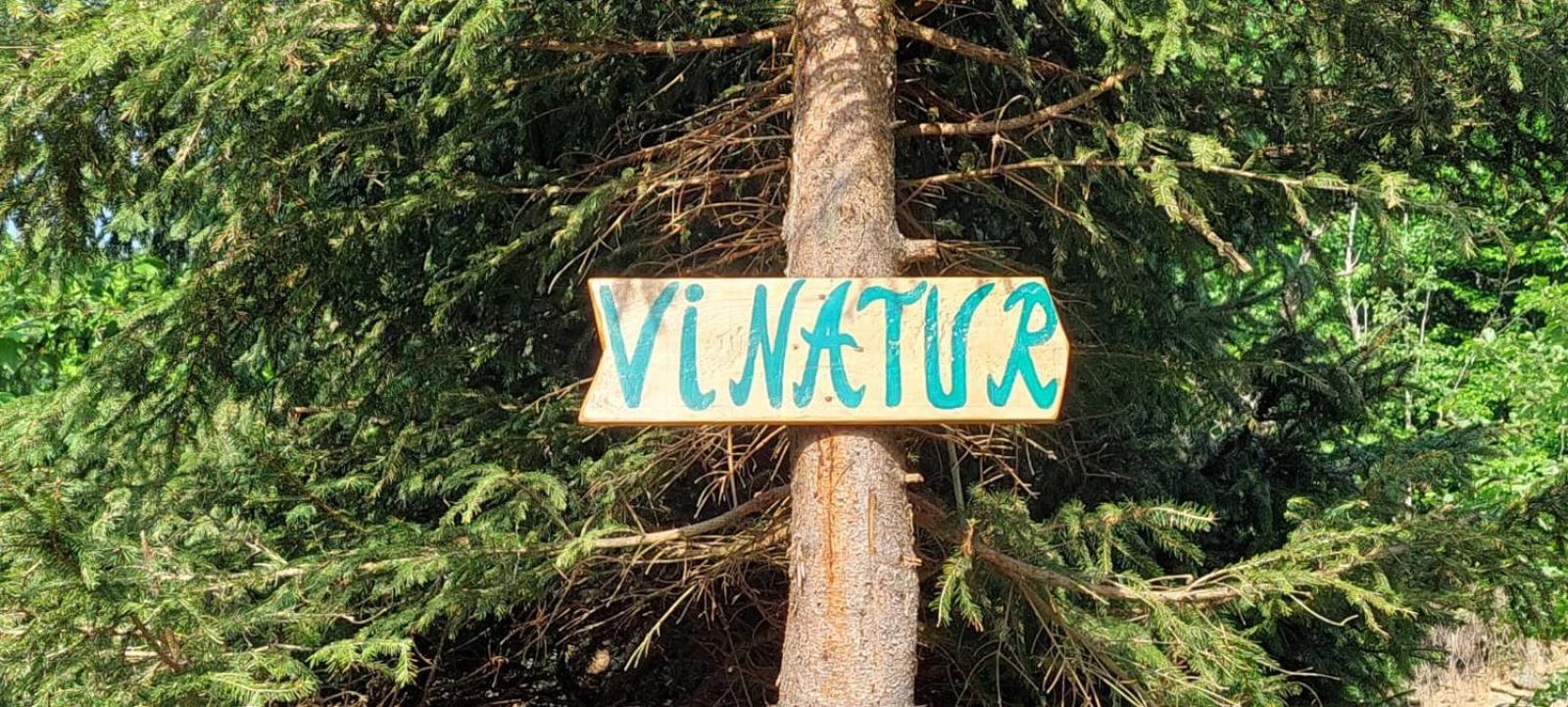 Pensiunea Vinatur Porumbacu de Sus Esterno foto