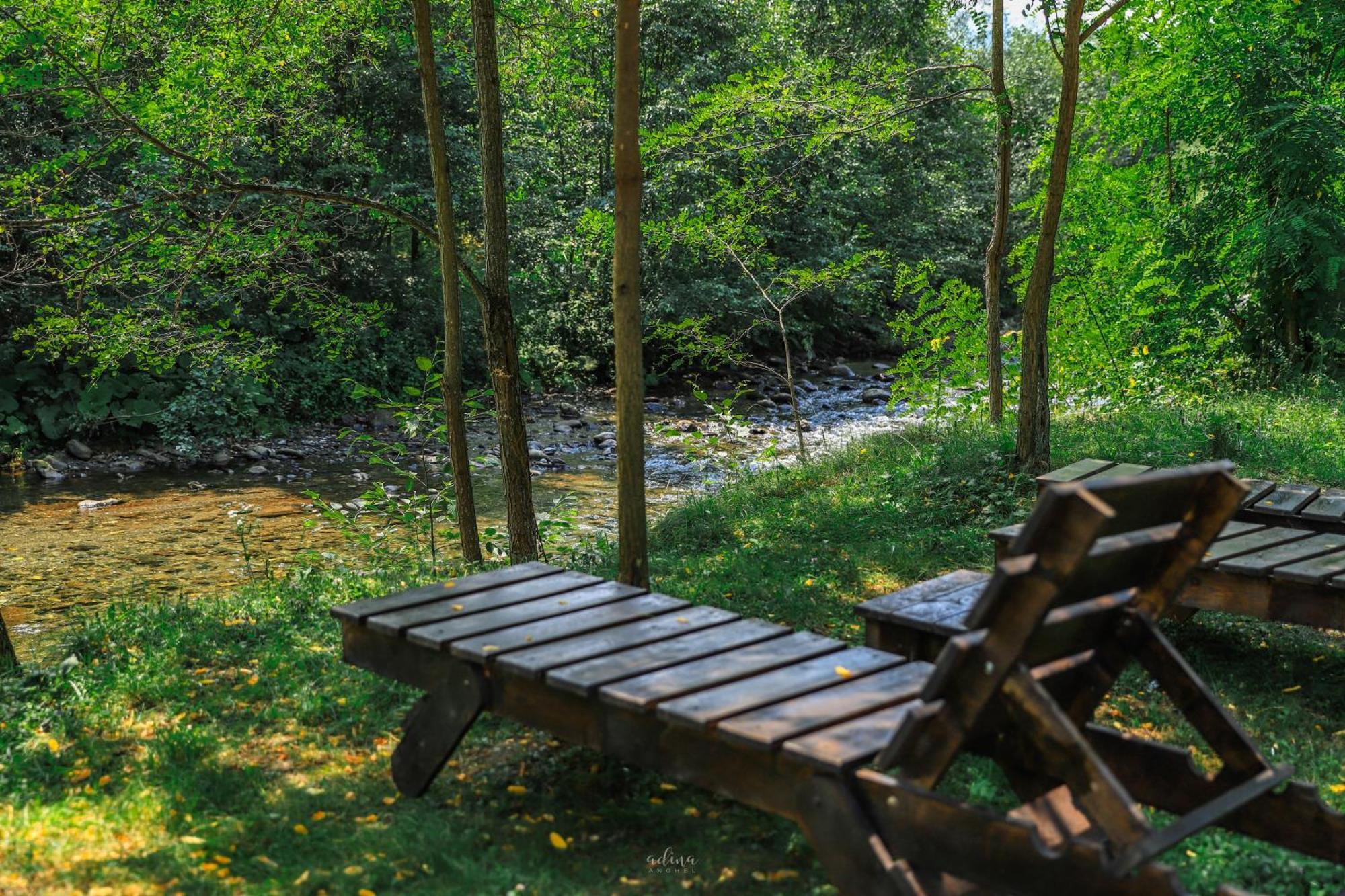 Pensiunea Vinatur Porumbacu de Sus Esterno foto