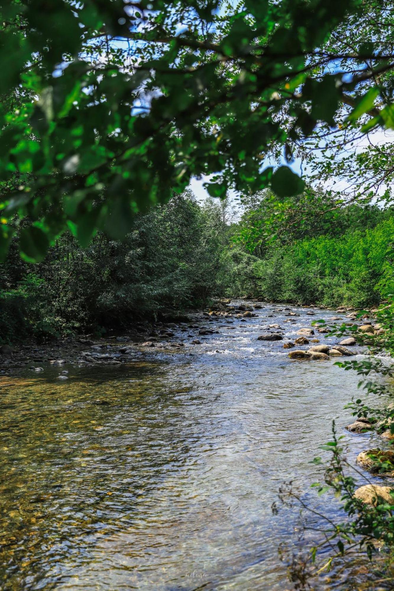 Pensiunea Vinatur Porumbacu de Sus Esterno foto